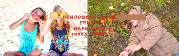 кристаллы Осинники