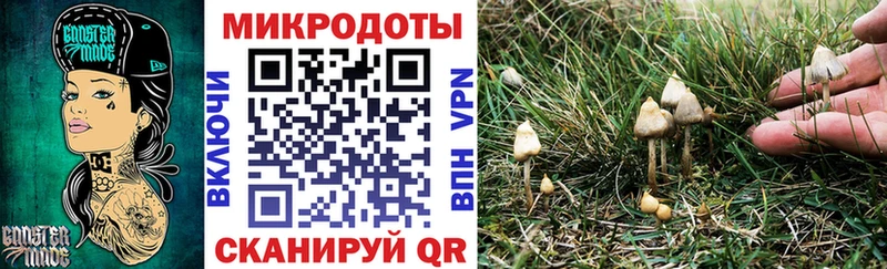 дарк нет какой сайт  наркотики  Мирный  Псилоцибиновые грибы мицелий 
